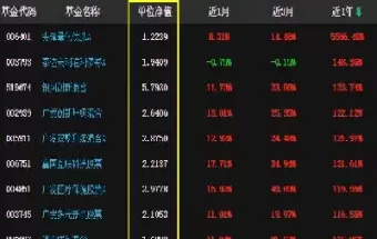 期货单位净值和累计净值相同(单位净值和累计净值相差大)_https://qh1.wpmee.com_期货直播_第1张