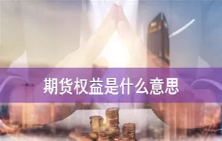 期货资金里什么是权益(期货资金里什么是权益投资)_https://qh1.wpmee.com_期货百科_第1张