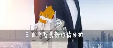 玉米与期货价格走势如何(玉米与期货价格走势如何对比)_期货百科_第1张_期货直播室 玉米与期货价格走势如何(玉米与期货价格走势如何对比)_https://qh1.wpmee.com_期货百科_第1张
