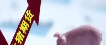 生猪期货养殖(生猪期货养殖户怎么做保值)_期货入门_第1张_期货直播室 生猪期货养殖(生猪期货养殖户怎么做保值)_https://qh1.wpmee.com_期货入门_第1张